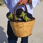 Kapuhala Sicily Üdülőközpont Marzamemi